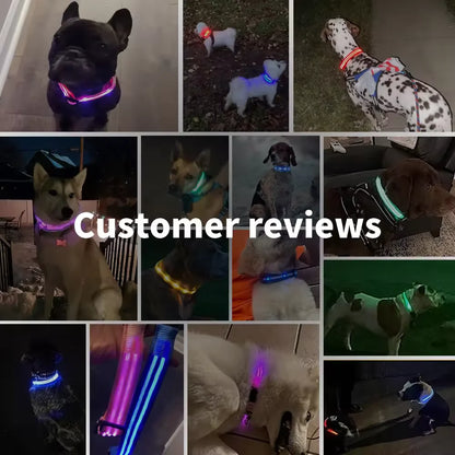 LED Glowing Dog Collar Adjustable Flashing Rechargea Luminous Collar Night