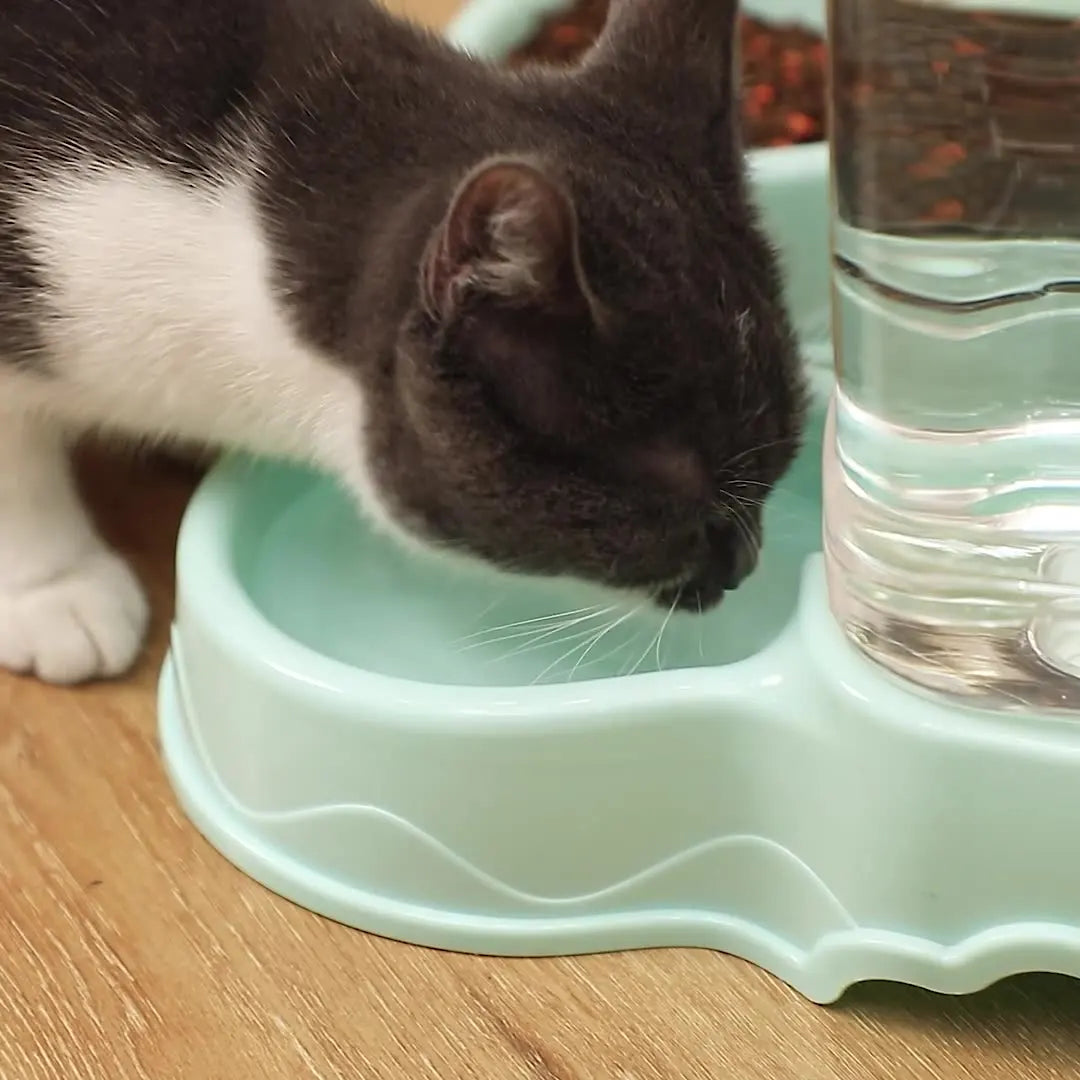 Cat Pet Automatic Feeder Drinking Bowl Large Capacity Dog 3.8L